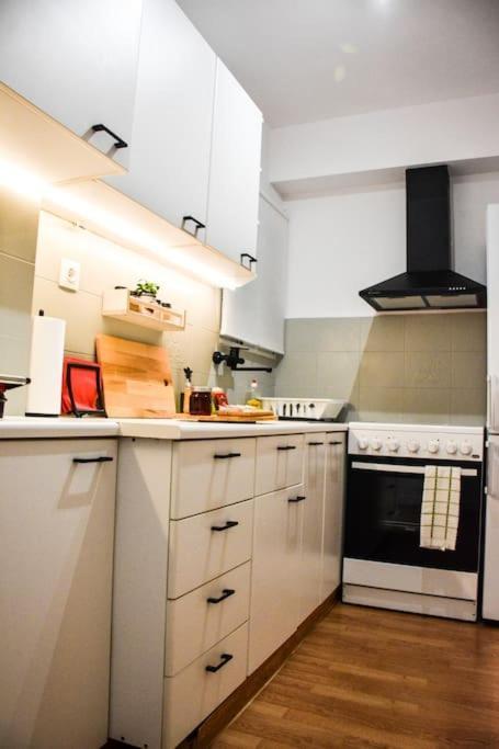 Newly Renovated-City Center Apartment Athens Ngoại thất bức ảnh